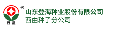山东省大白菜工程技术研究中心