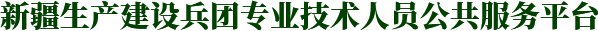 新疆生产建设兵团专业技术人员继续教育公共服务平台