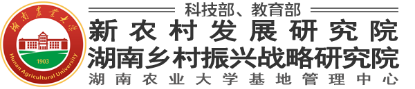 新农村发展研究院