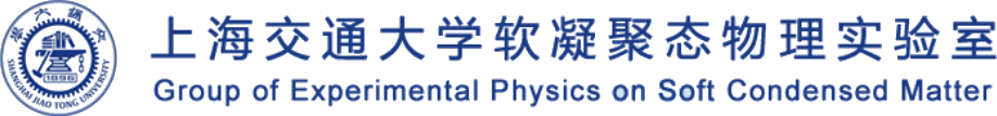 上海交通大学软凝聚态物理实验室