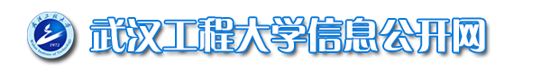 武汉工程大学信息公开网