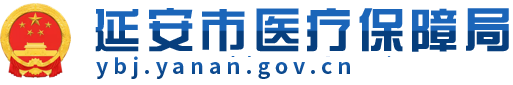 延安市医疗保障局