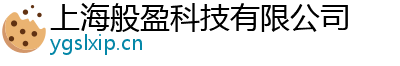 上海般盈科技有限公司