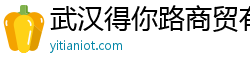 武汉得你路商贸有限公司