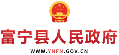 富宁县人民政府