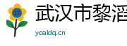 武汉市黎滔科技有限公司