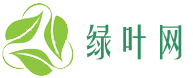 绿叶网