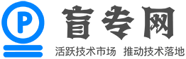 盲专网