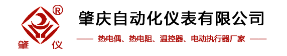 肇庆自动化仪表有限公司