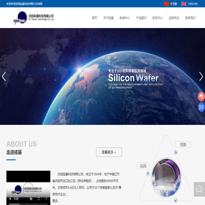 沈阳硅基科技有限公司