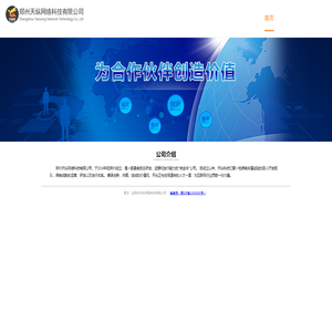 天纵网络