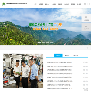 云胶景阳公司