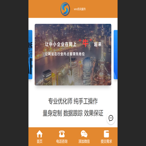 网站seo