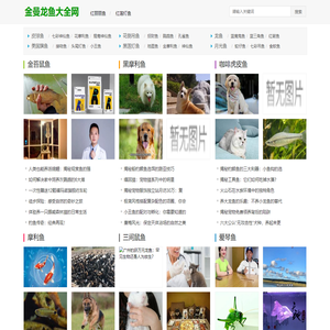 虎皮鱼,宝莲灯鱼的最新相关消息