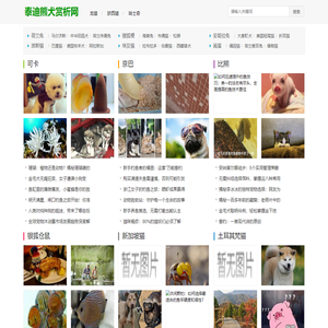 荧光猫,金丝雀的最新相关消息