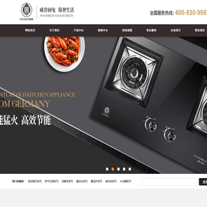 广东威肯电气科技有限公司