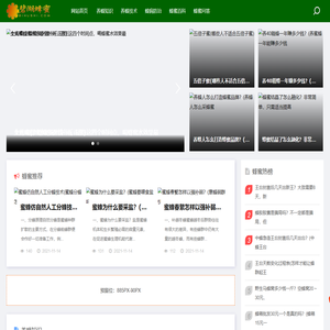 【东之木】蜂蜜的作用与功效,蜂蜜真假鉴定方法