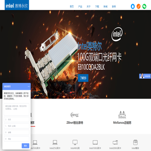 赛博永欣