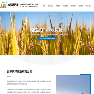 辽宁庆洋