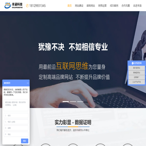 高端品牌网站建设