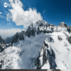 宁波普利姆半导体有限公司官网