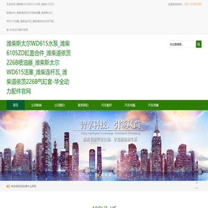 潍柴斯太尔WD615水泵