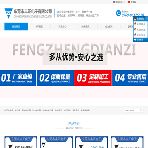 东莞市丰正电子有限公司