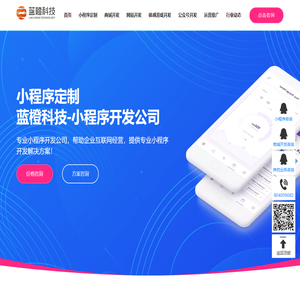 小程序定制公司