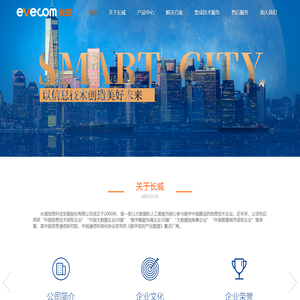 长威信息科技发展股份有限公司