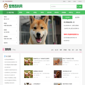 宠物大全