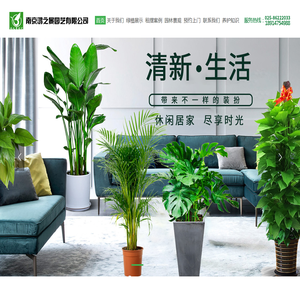 南京绿植物租赁
