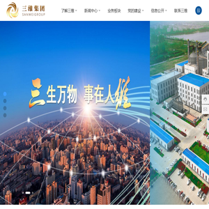 山东三维控股集团有限公司