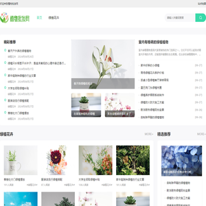 多肉植物批发网