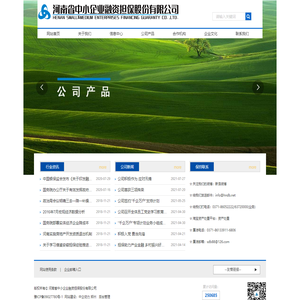 河南省中小企业融资担保股份有限公司