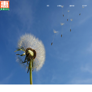 睿泽惠