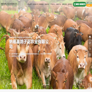 纳雍县鸽子花农业有限公司