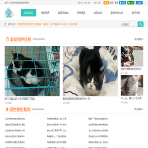 宠物领养