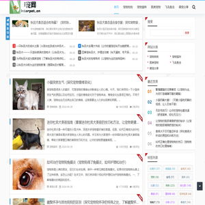 I宠网