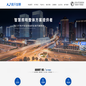 GPRS无线路灯监控管理系统