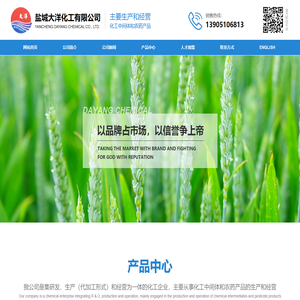 盐城大洋化工有限公司