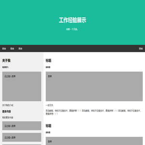 工作经验展示