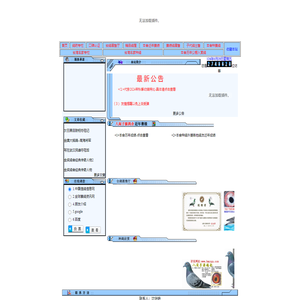 闽诏台鸽交流网