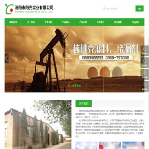 汾阳市阳光实业有限公司