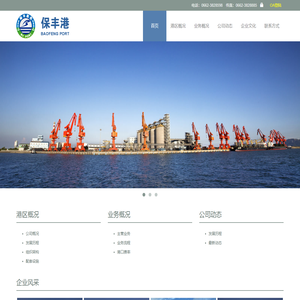 广东保丰港务有限公司