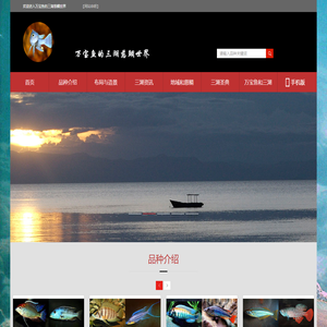 万宝鱼的三湖慈鲷世界