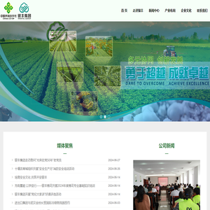 湖北银丰实业集团有限责任公司