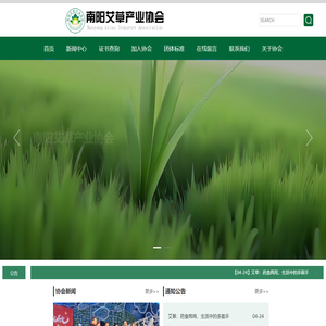 首页