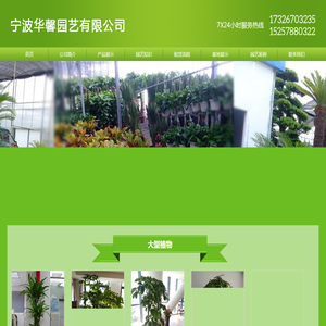 宁波花卉租赁