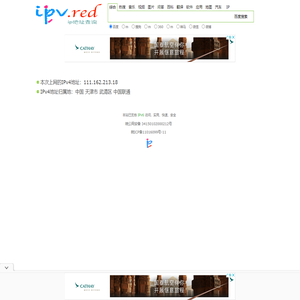 域名/IPv4/IPv6