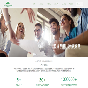 浙江微诚出海科技有限公司